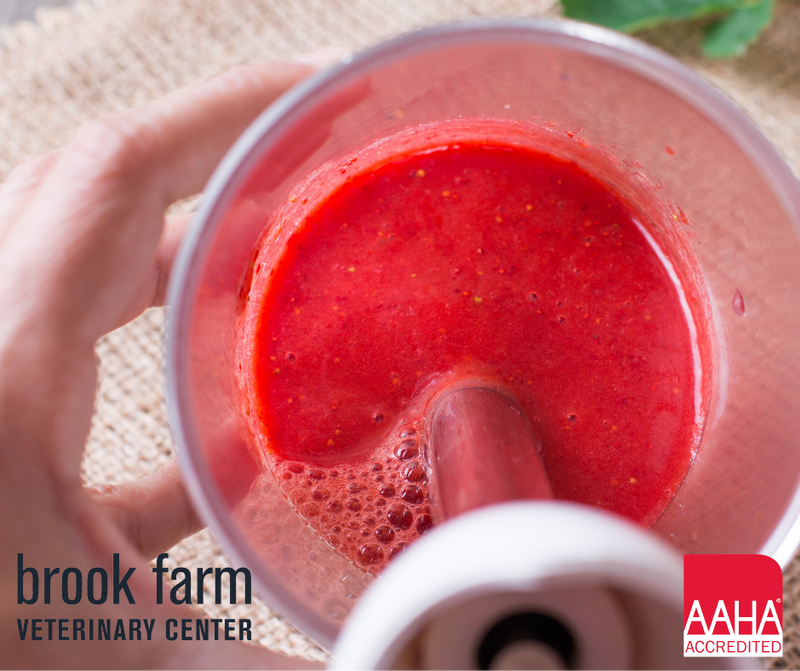 Veterinary Blog Visit Our Patterson Veterinary Clinic